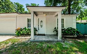Beautiful Pool House In Old Seminole Heights!